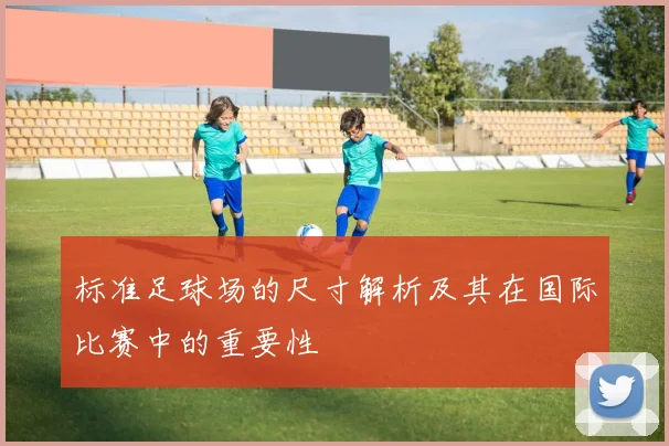 标准足球场的尺寸解析及其在国际比赛中的重要性