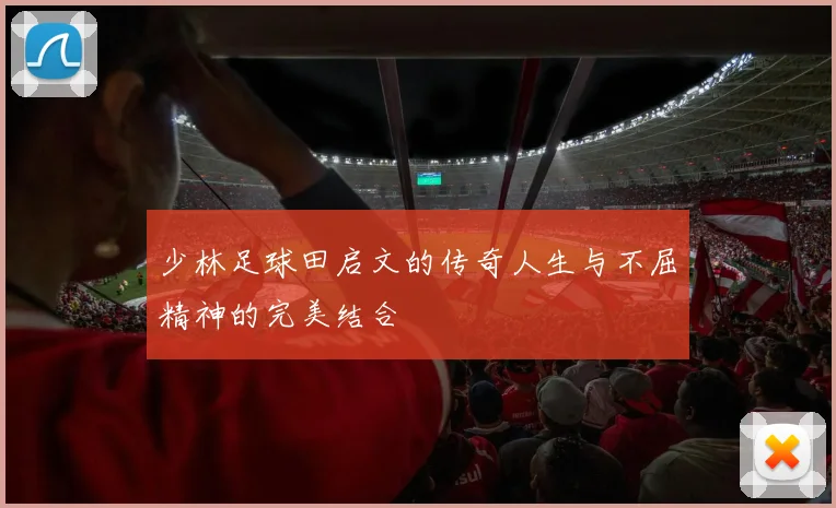 少林足球田启文的传奇人生与不屈精神的完美结合