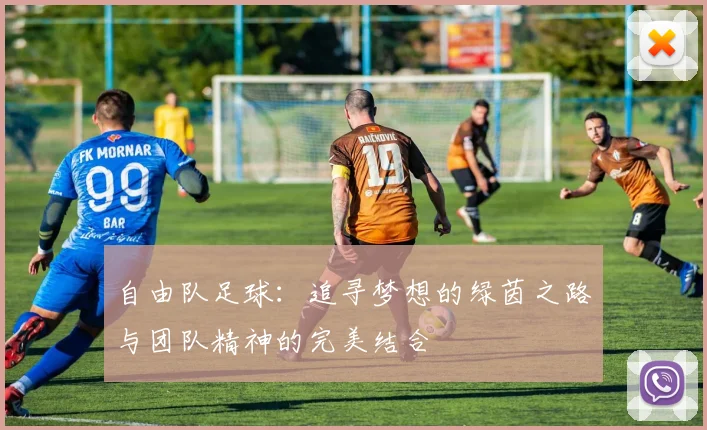 自由队足球：追寻梦想的绿茵之路与团队精神的完美结合