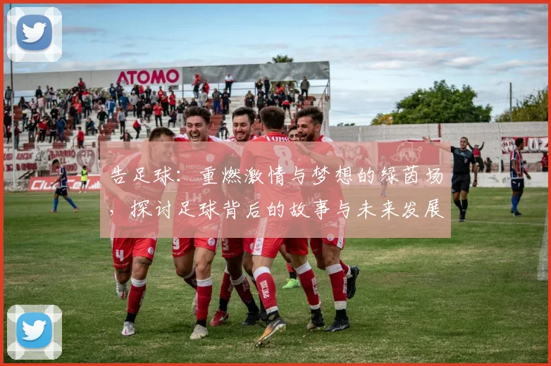 告足球：重燃激情与梦想的绿茵场，探讨足球背后的故事与未来发展