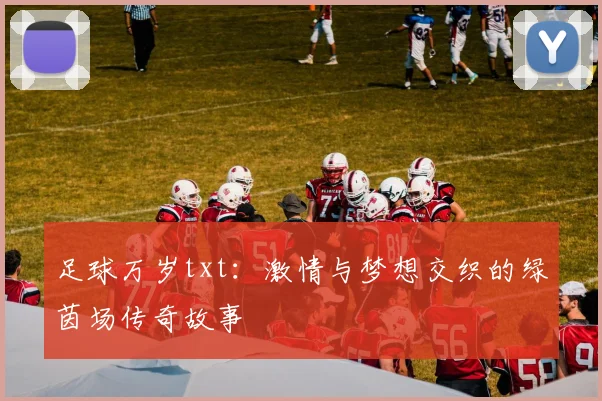 足球万岁txt：激情与梦想交织的绿茵场传奇故事