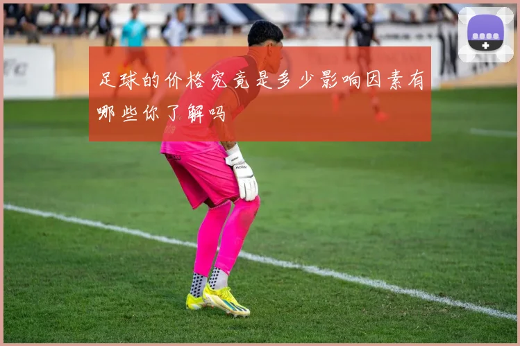 足球的价格究竟是多少影响因素有哪些你了解吗