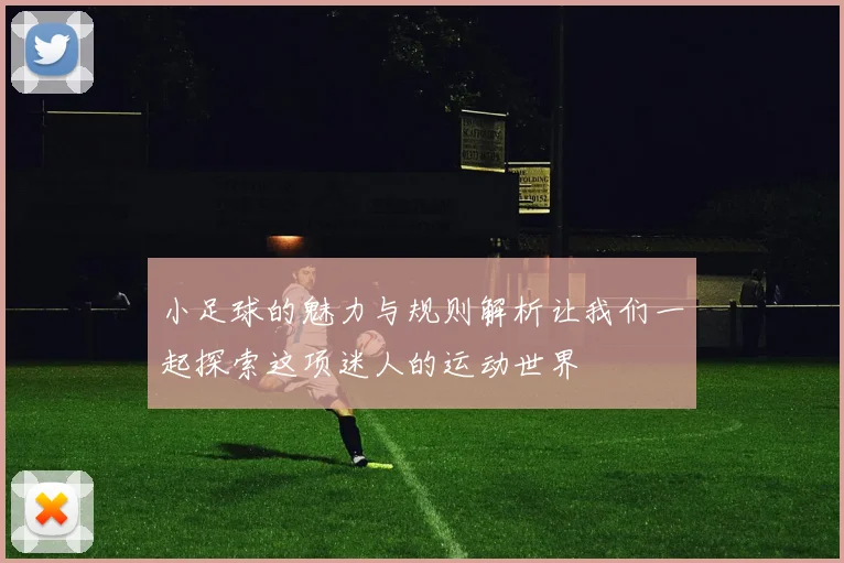 小足球的魅力与规则解析让我们一起探索这项迷人的运动世界