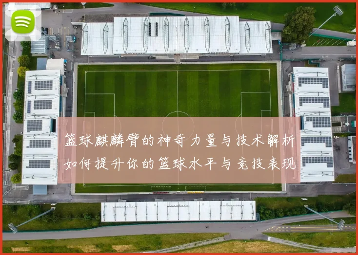 篮球麒麟臂的神奇力量与技术解析如何提升你的篮球水平与竞技表现