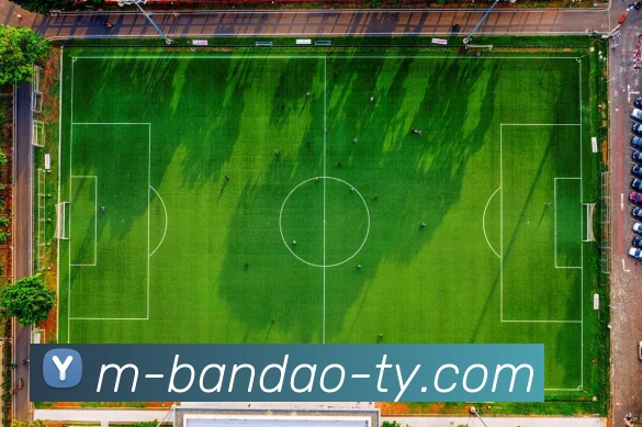 半岛体育平台生态图