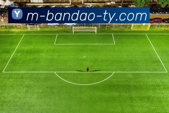 半岛体育全站App